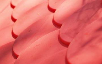 Cuaig plastic roof costs